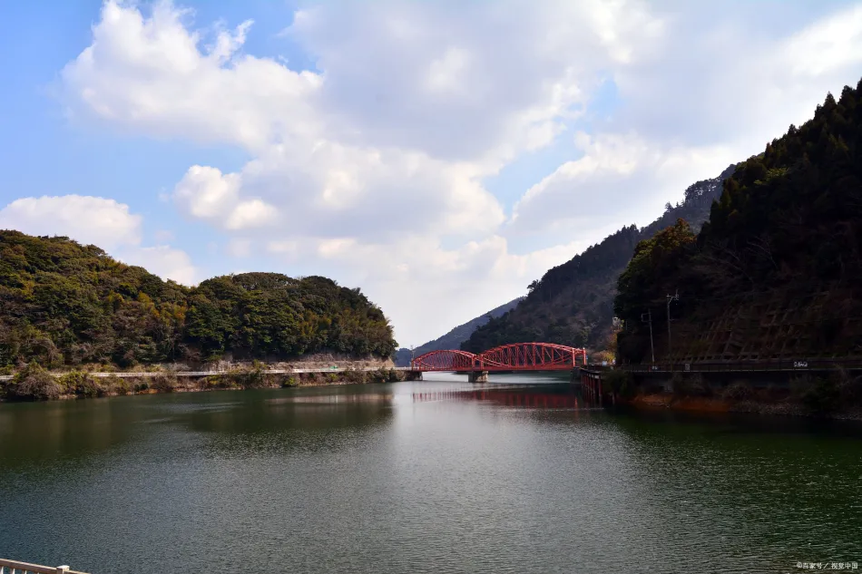 文成县文成县移动宽带